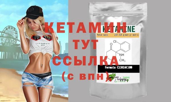 индика Карпинск