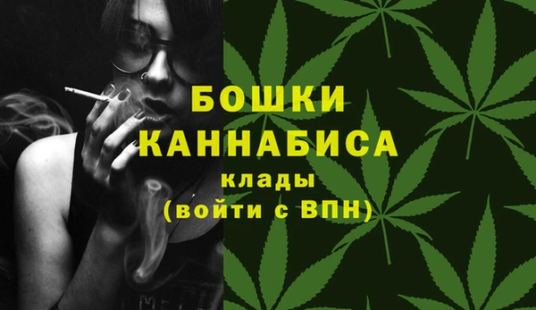 индика Карпинск
