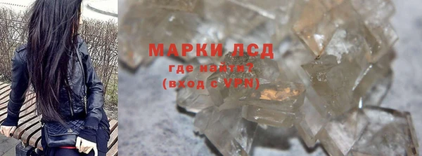 индика Карпинск