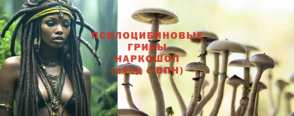 индика Карпинск