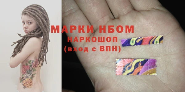 индика Карпинск