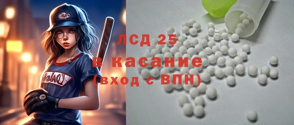 индика Карпинск