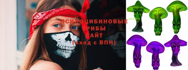 индика Карпинск