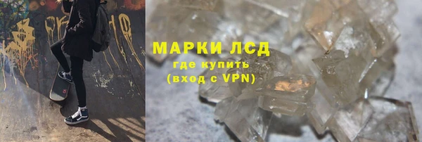 индика Карпинск