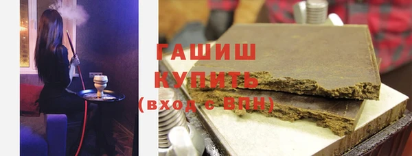 индика Карпинск