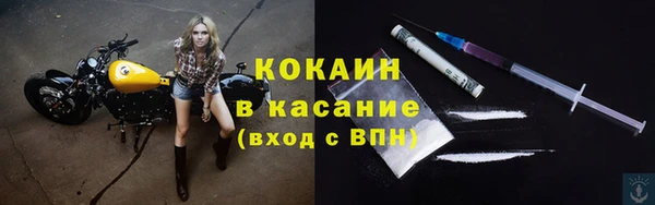 индика Карпинск