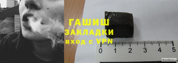 индика Карпинск