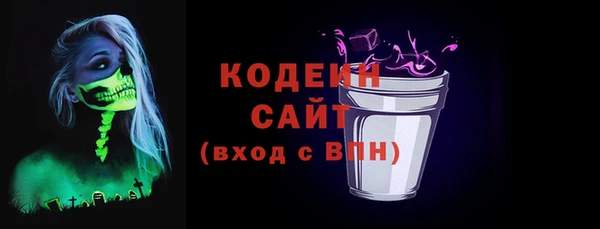 индика Карпинск