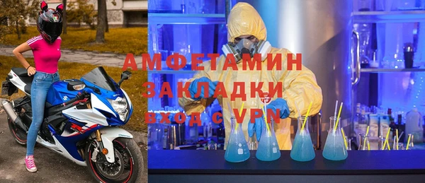 индика Карпинск