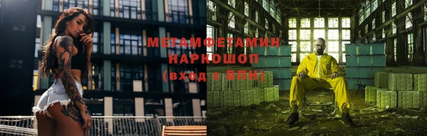индика Карпинск