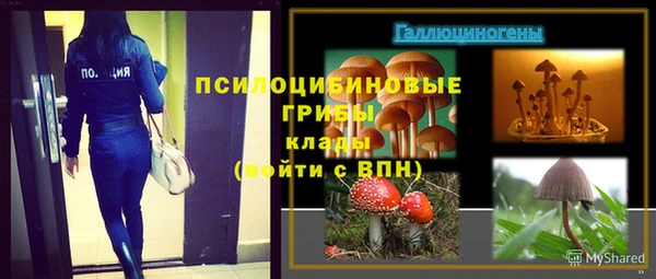 mdpv Карталы